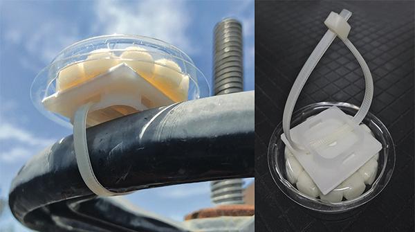 An example of pigeon proofing using dishes with a cable tie attachment