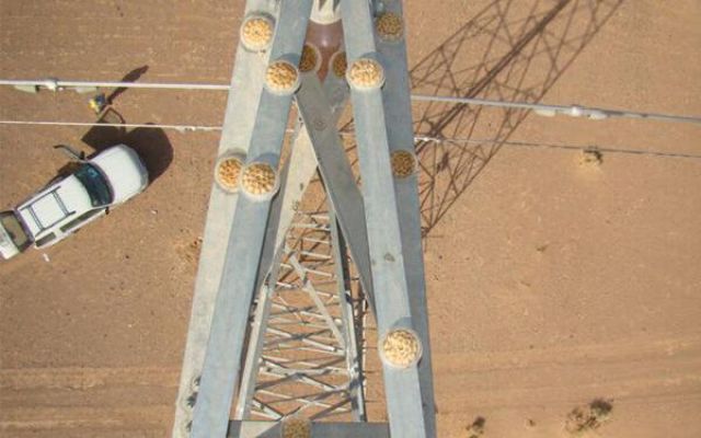 Bird Free applied to an electricity mast to stop birds from roosting