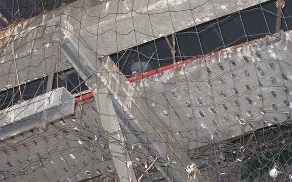 Netting fails to stop birds from nesting 